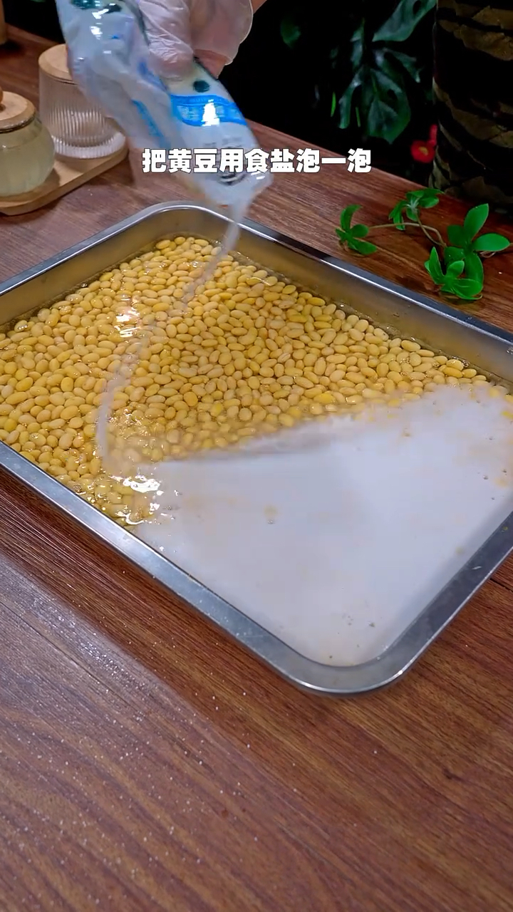 把黄豆用食盐泡一泡,竟做出了一道家喻户晓的调味品
