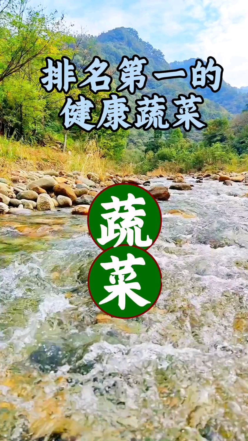 排名第一的健康蔬菜#门店引流#短视频运营