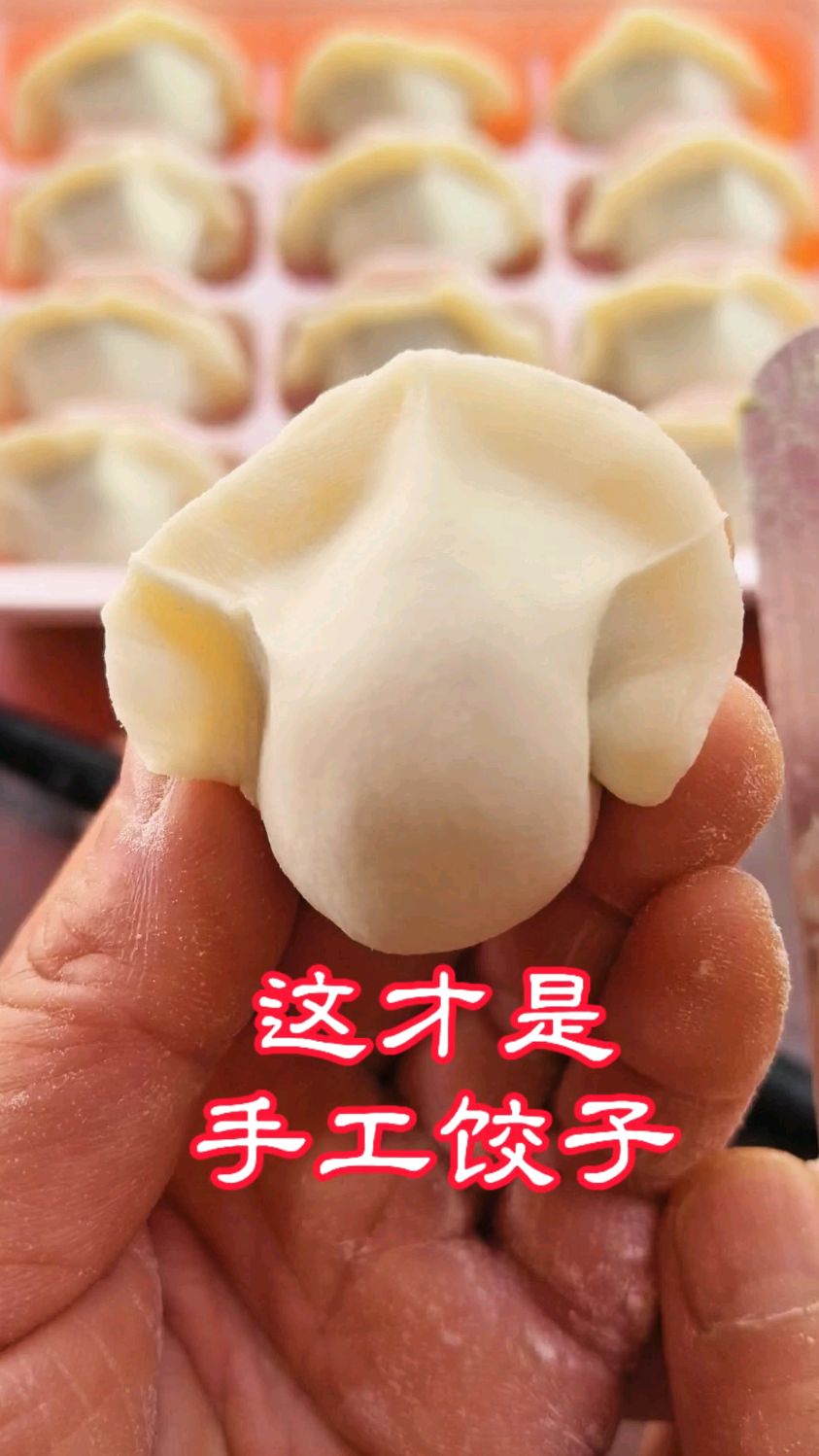 这才是真正的手工饺子