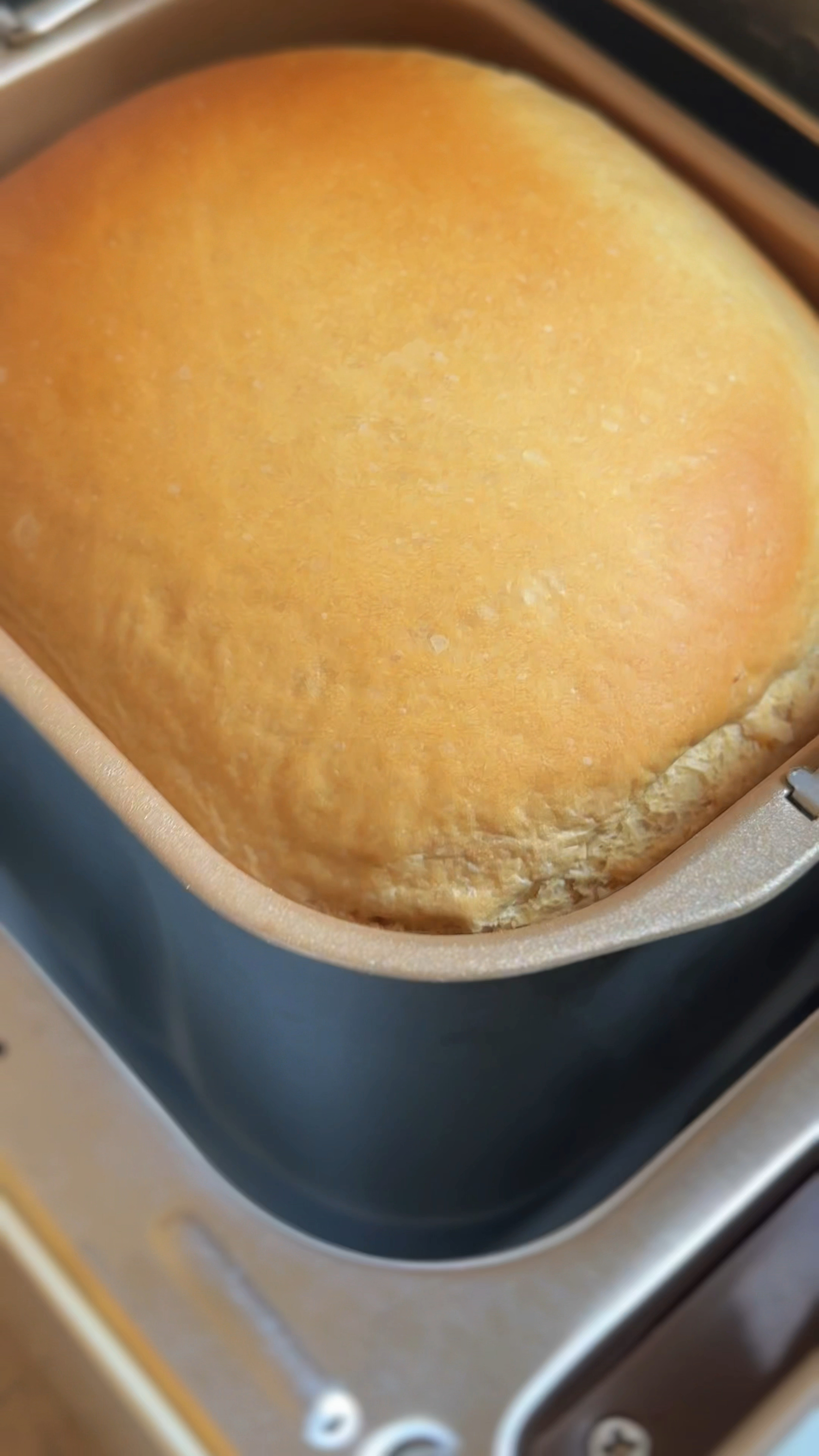 我用东菱面包机在家做面包,一次成功,一键出真方便