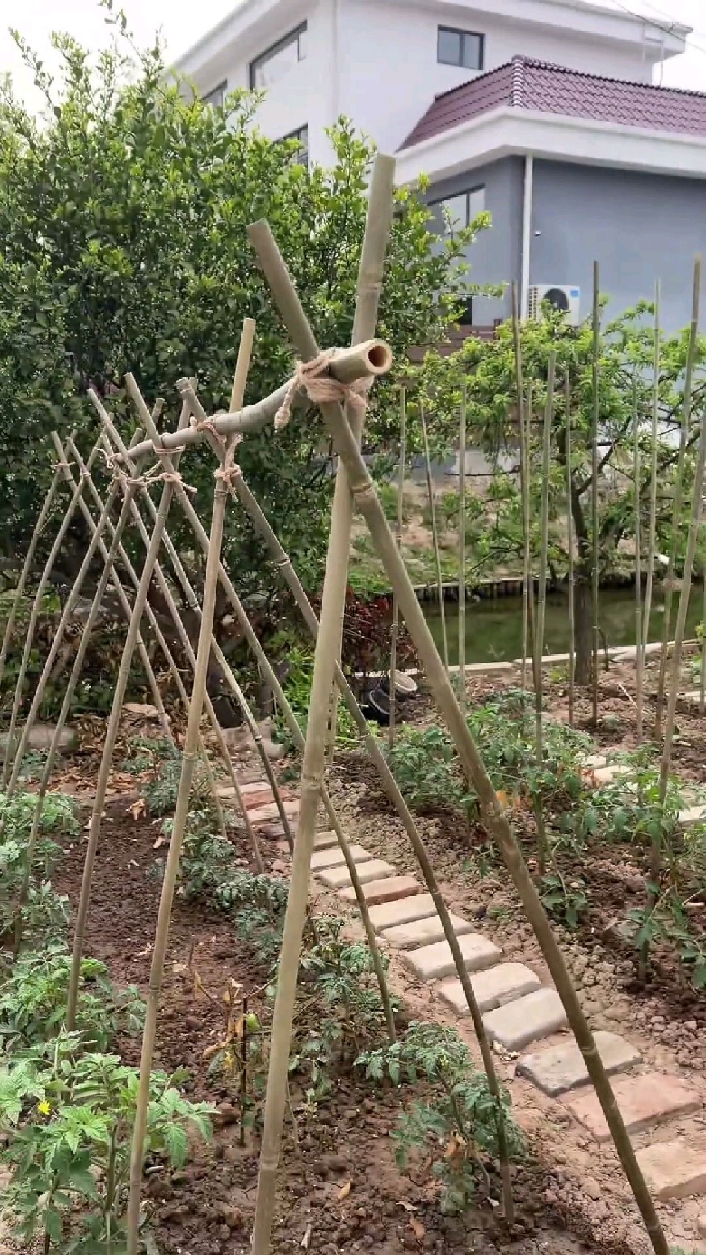 如何正确搭建一个蔬菜棚,让其挂100斤蔬菜也不会松动?