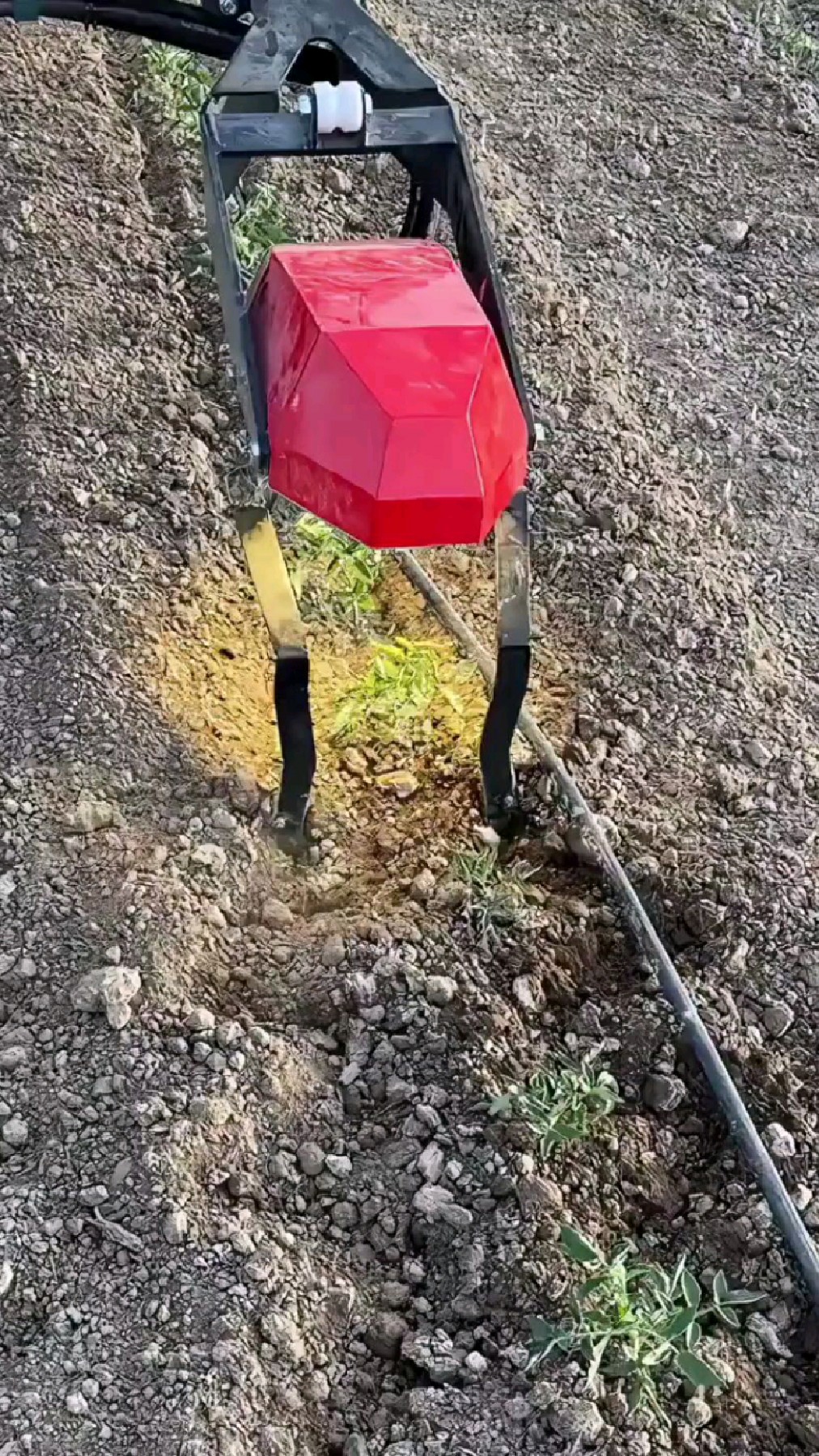 能够自己种菜的机器人你见识过吗?种出土豆味道不知咋样啊!