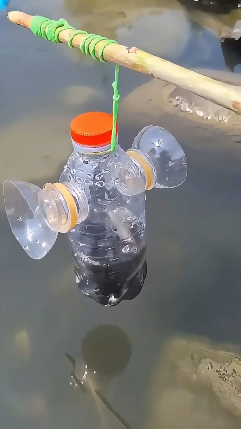如何用三个矿泉水瓶制作一个抓鱼神器？一下子竟然抓这么多鱼啊！