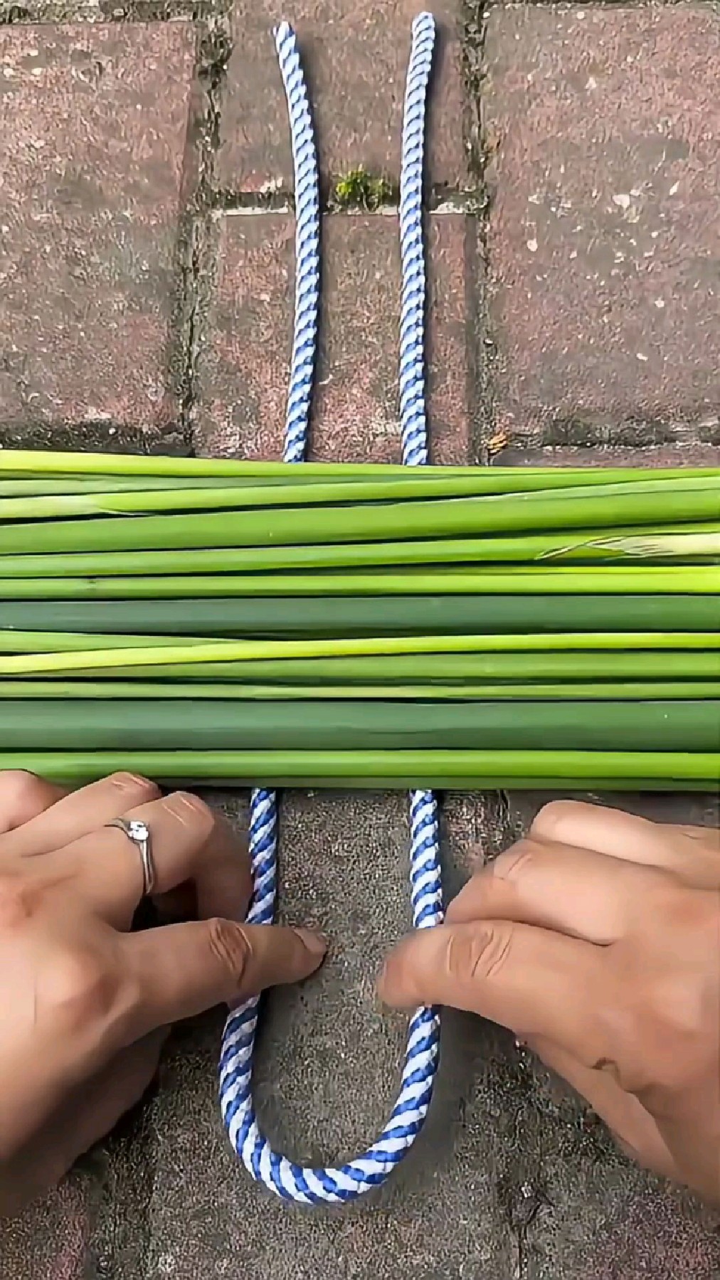 知道古时候3000多年前的秦朝，人们是如何打包蔬菜的方法吗？