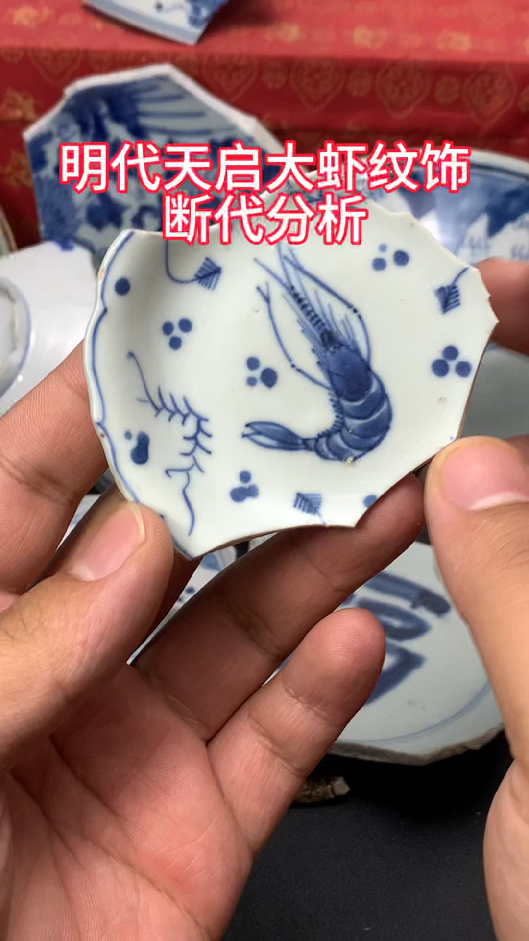 明代天启大虾标本纹饰断代,