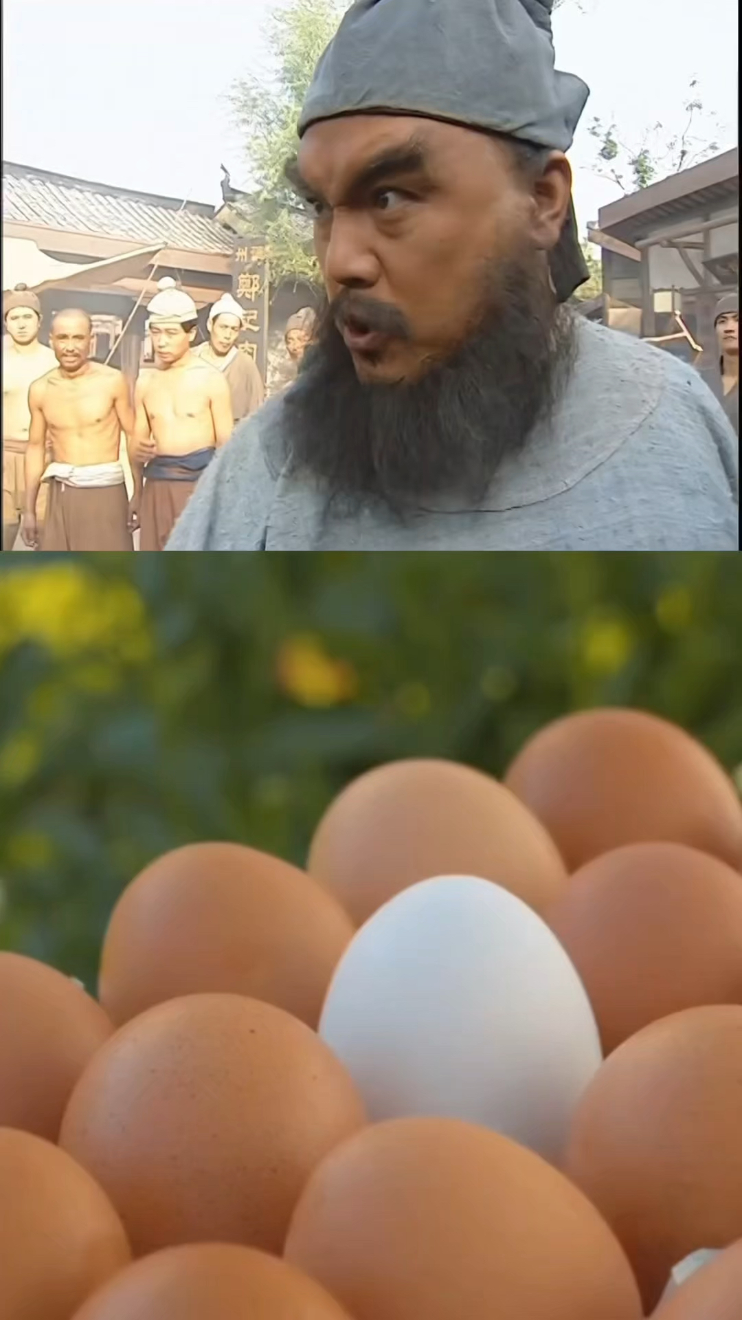 土鸡蛋和饲养蛋哪个更有营养的？#科普#涨知识#鸡蛋