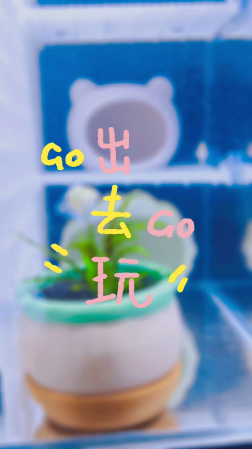 出去玩吧,一起去发现世间的美好#养鱼日记 #迷你鹦鹉鱼 #热带鱼