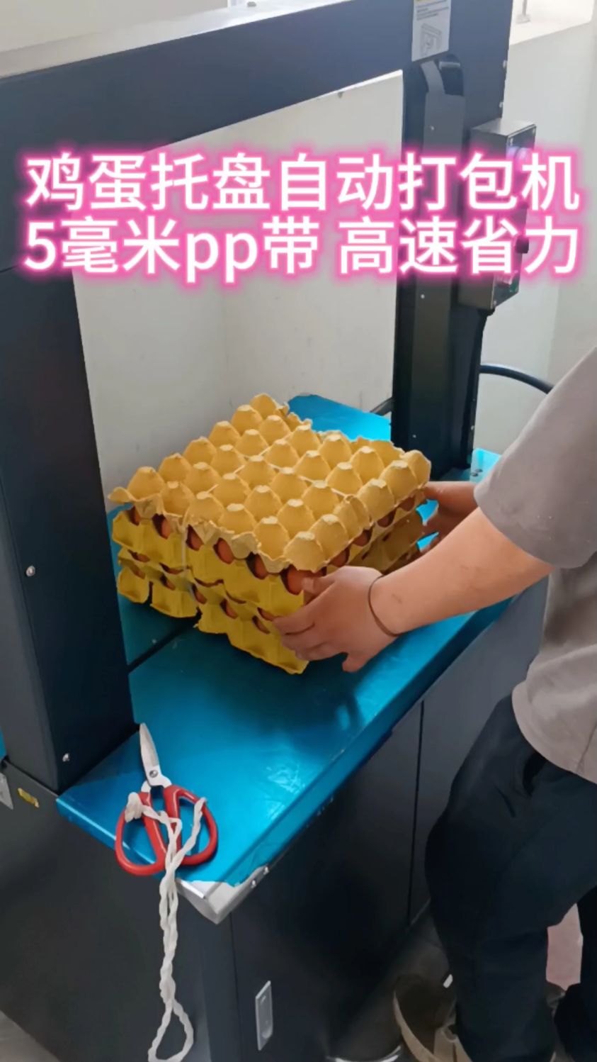 鸡蛋托盘高速全自动打包机,昆劲客户试机实拍,自提一台