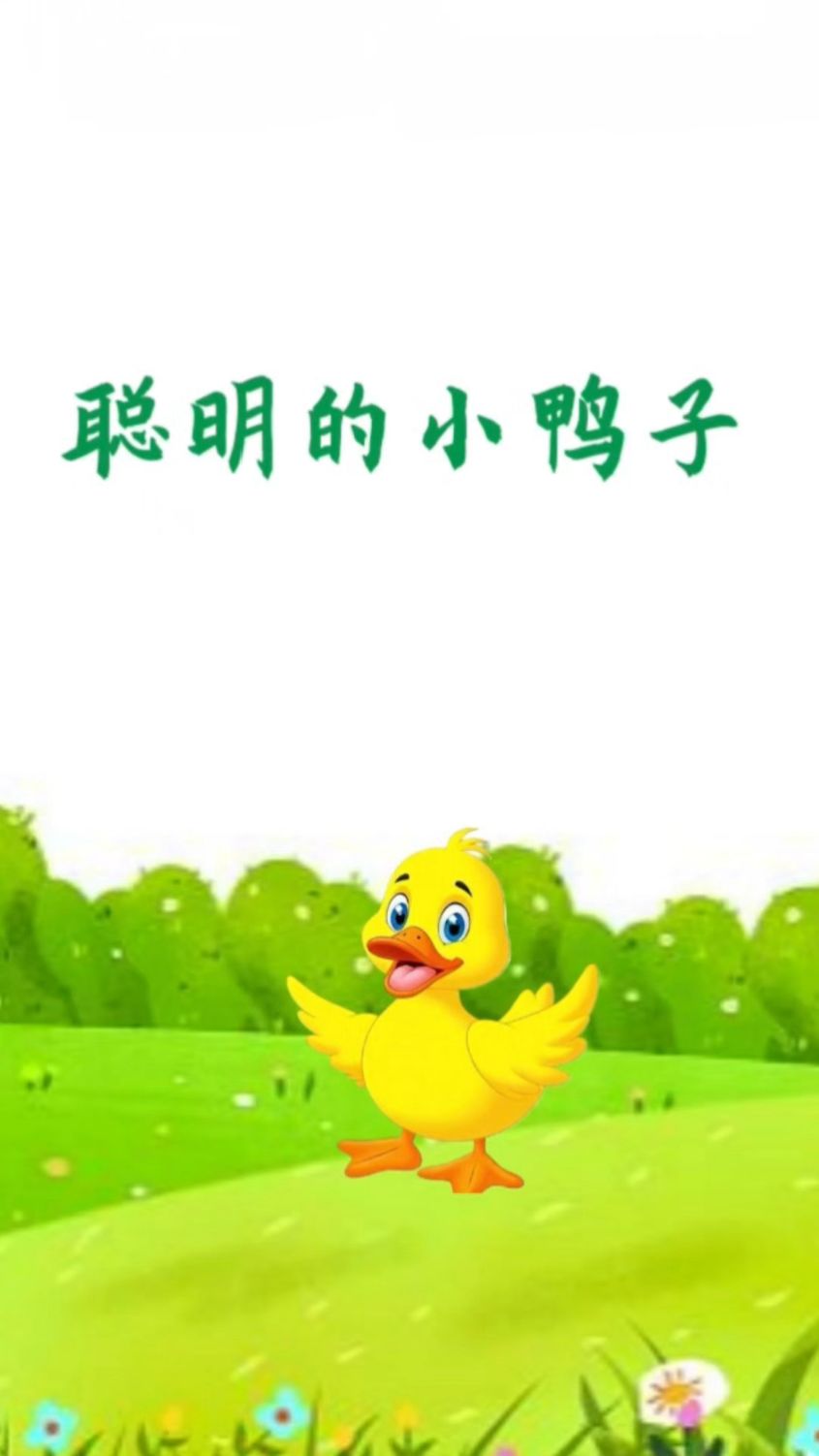 新故事来了一一聪明的小鸭子