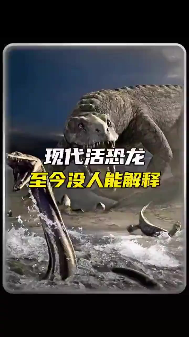鸡胆包天还是胆小如鼠真相惊人!