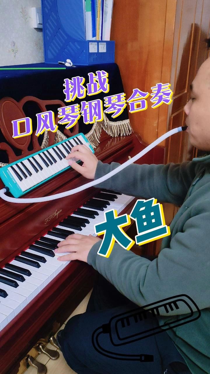 口风琴钢琴合奏大鱼