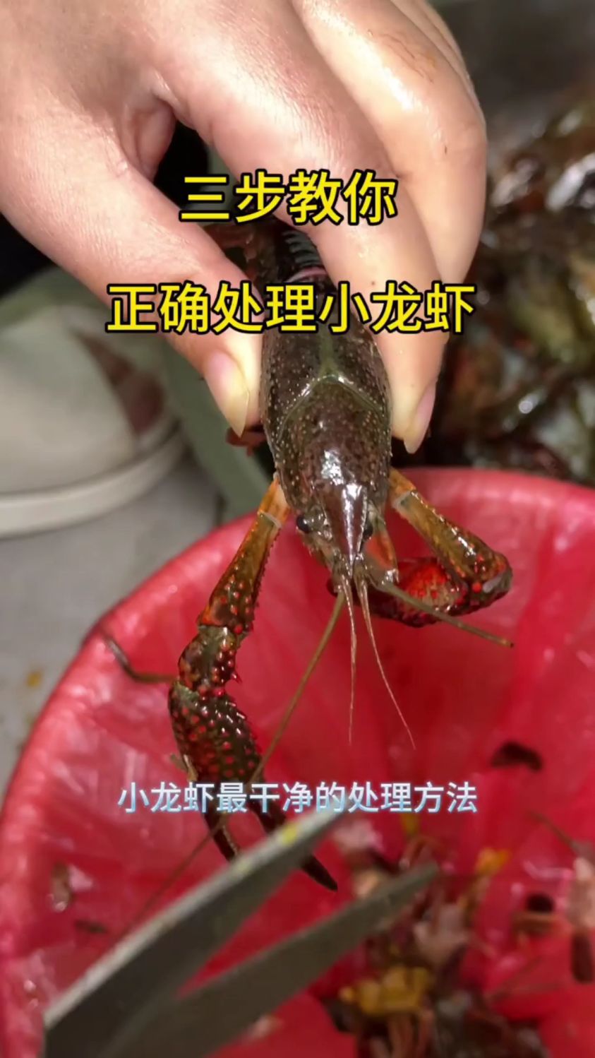 小龙虾正确清洗方法