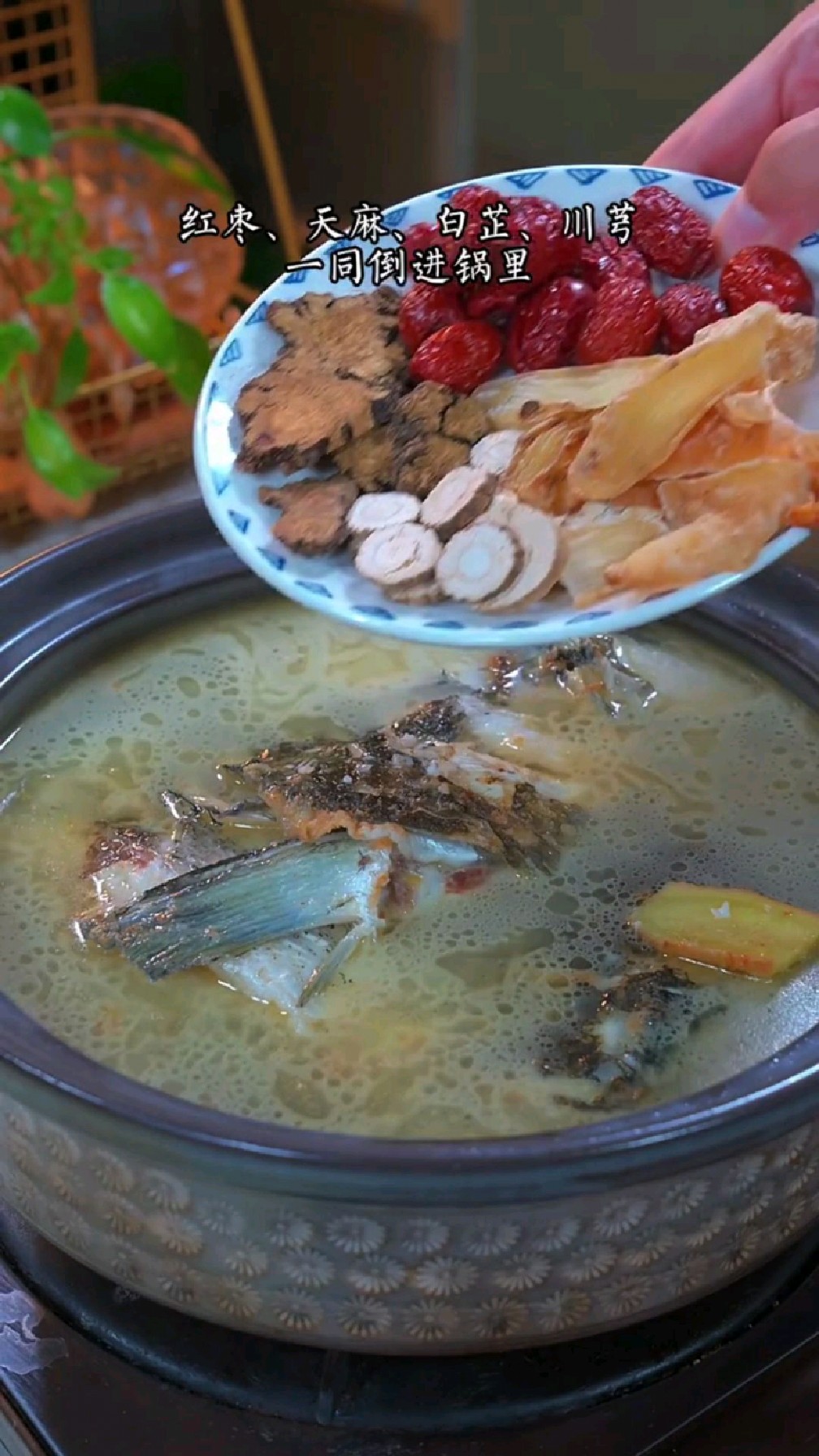 天凉了要多喝这个天麻鱼头汤