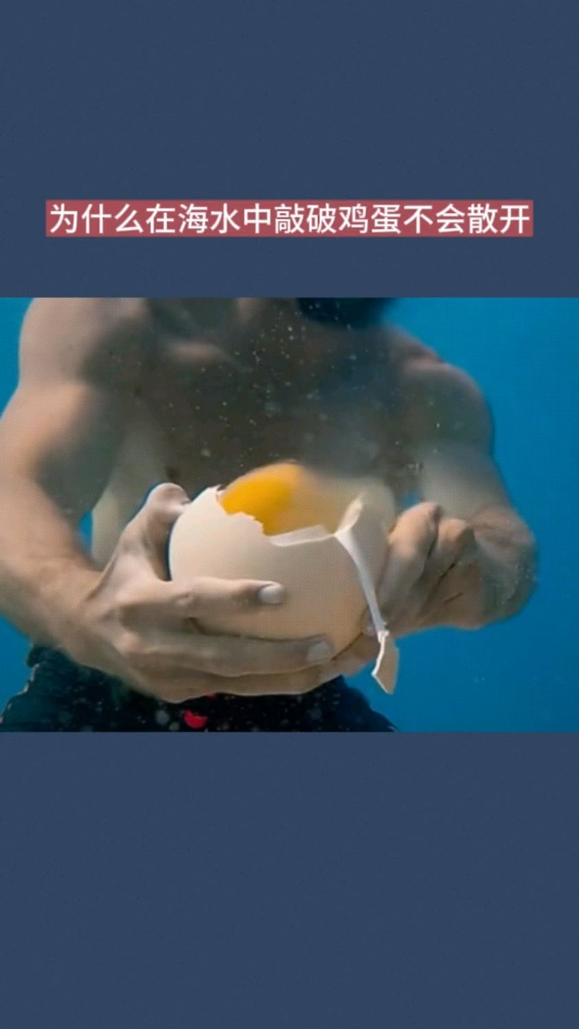 为什么在海水中敲破鸡蛋不会散开