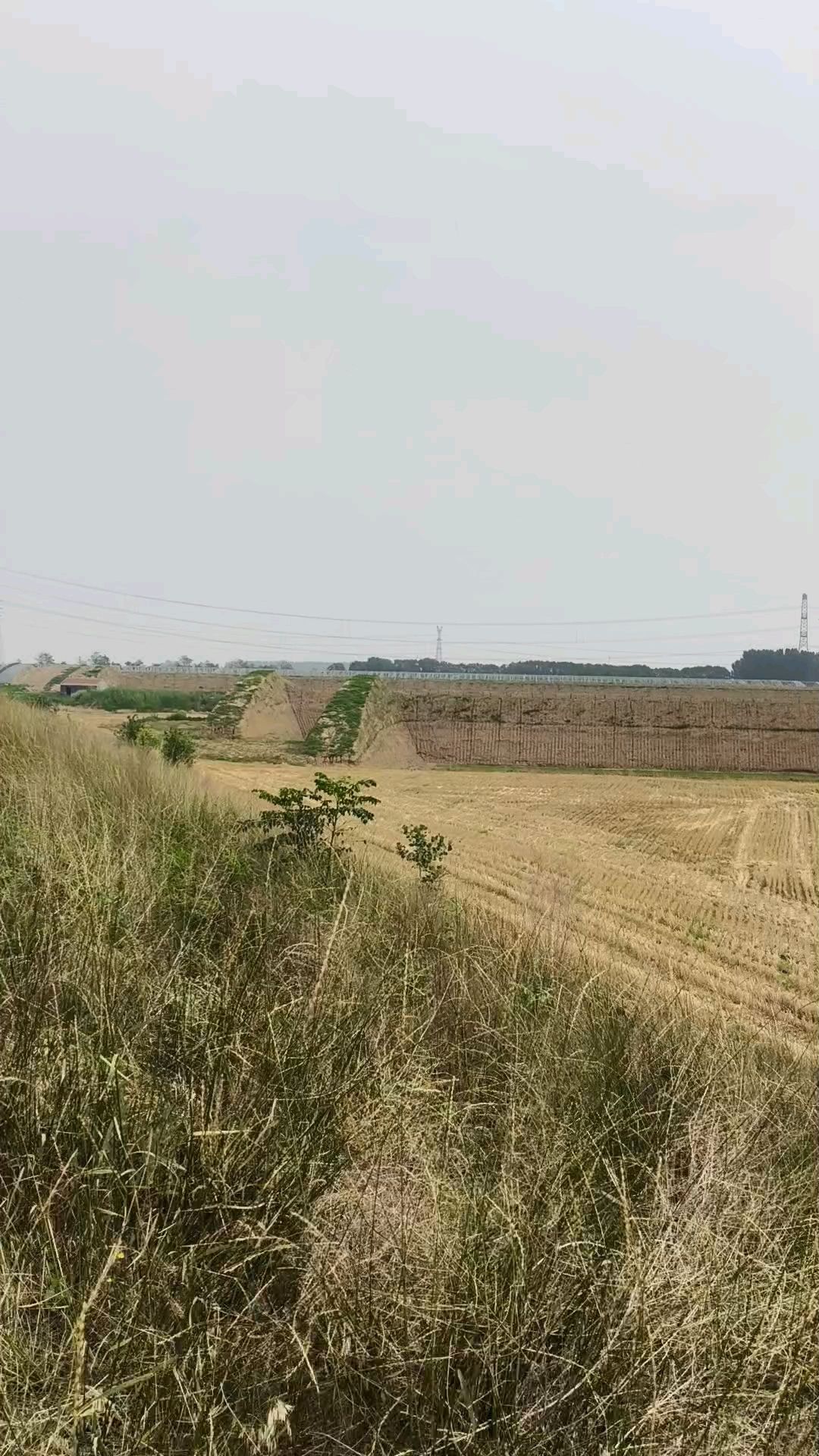 寿光市营里镇蔬菜大棚基地实拍，一起看看啦
