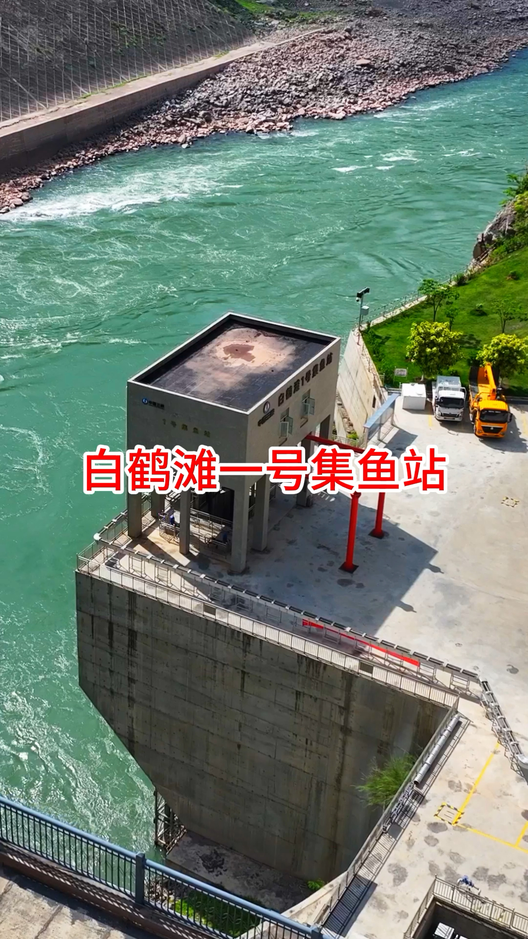 白鹤滩1号集鱼站，帮助水电站坝下鱼类洄游至坝上！
