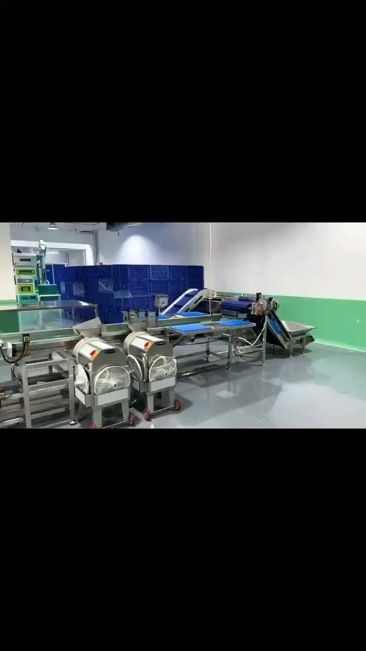 净菜加工设备专业生产厂家