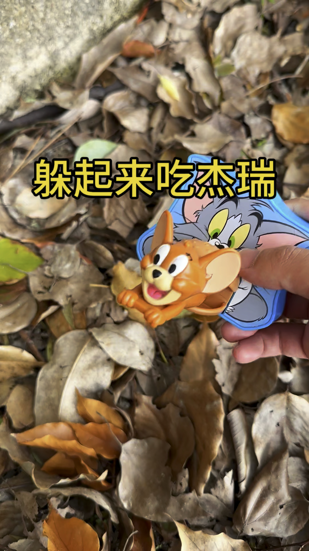 发现了一只汤姆猫,他躲起来吃杰瑞呢