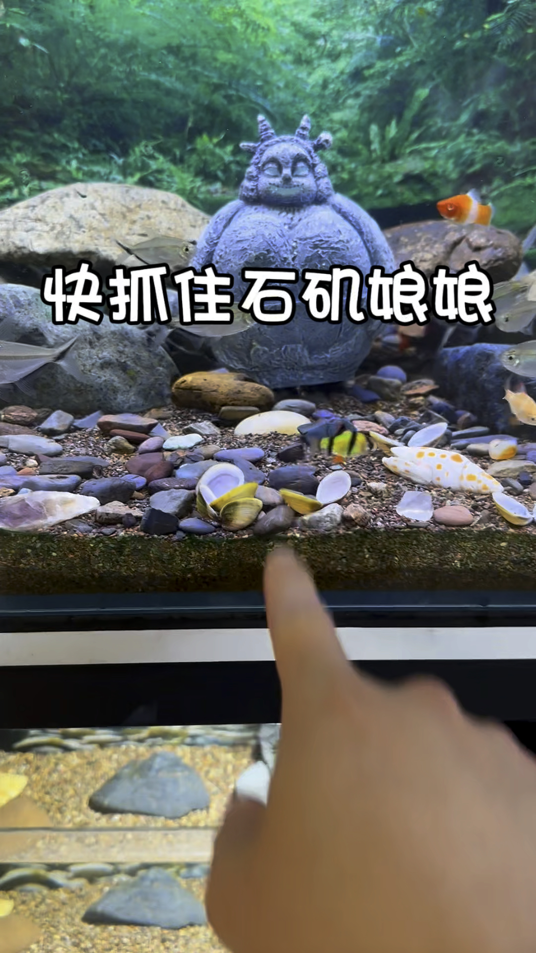 石矶娘娘躲到鱼缸里啦,哪吒和敖丙抓不到她