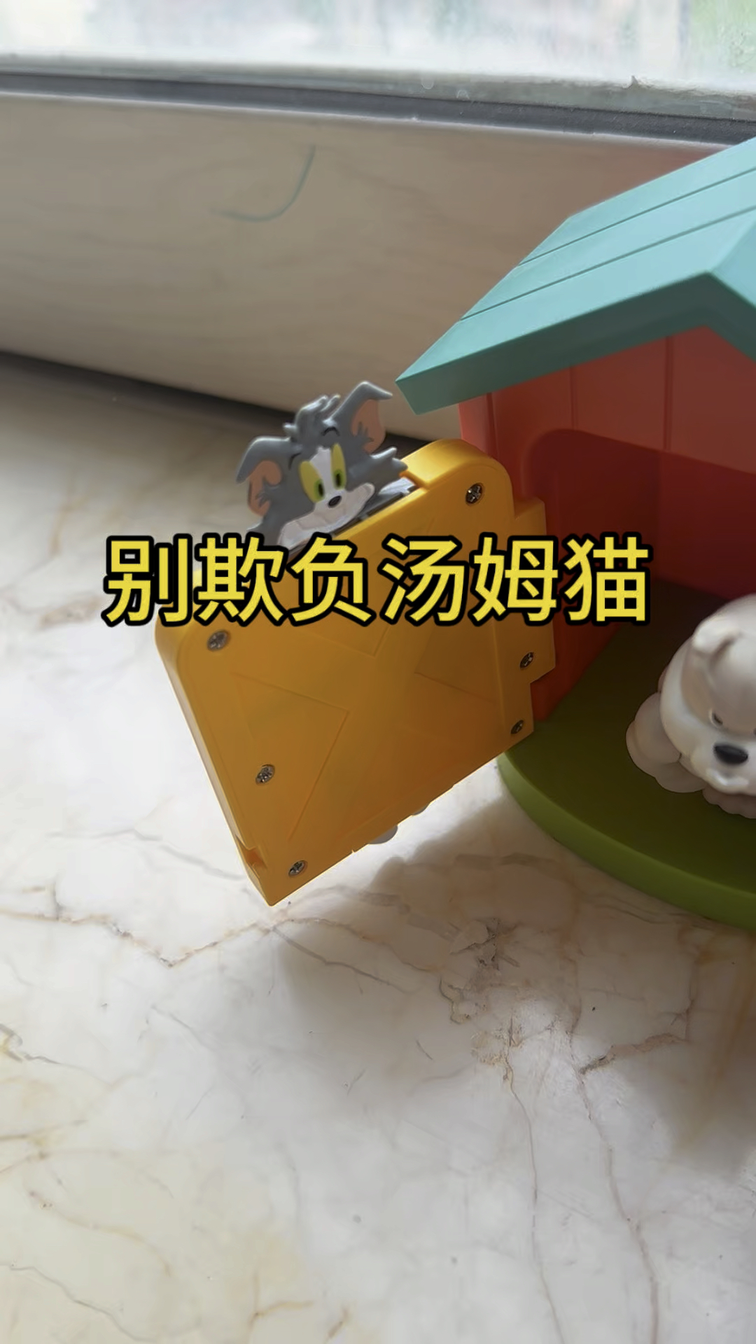 别欺负汤姆猫,汤姆猫好可怜啊