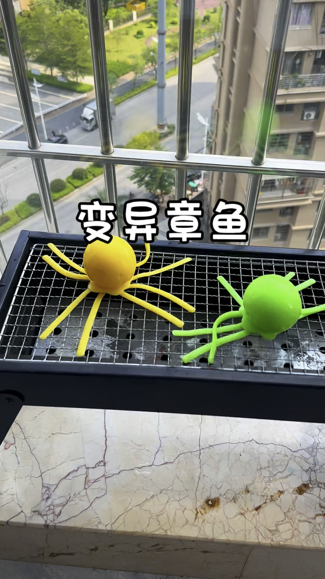 变异的章鱼会发光可不能吃啊