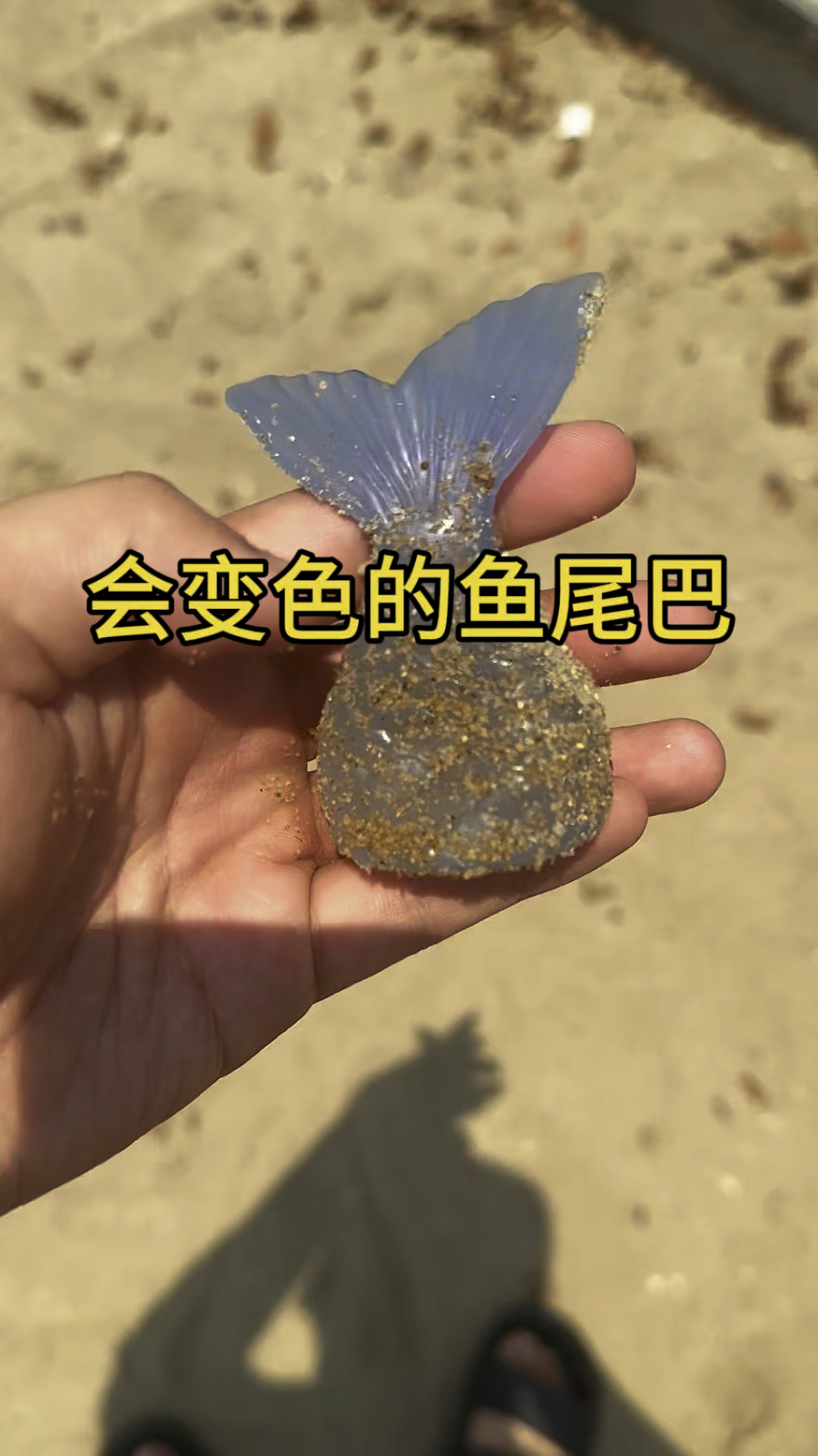 踩到了一条会变色的无头鱼