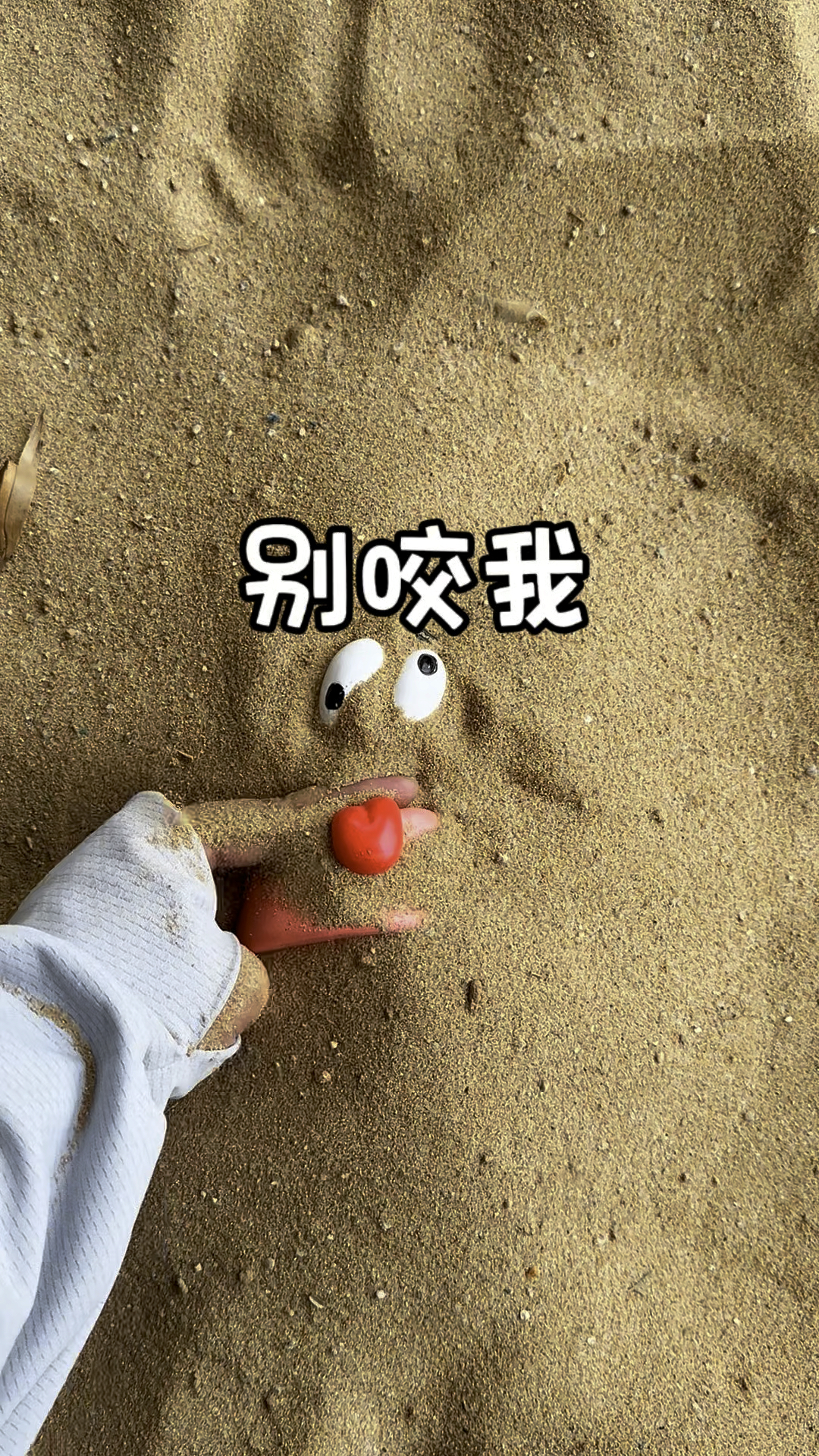 没脑子的派大星咬着我的手不放