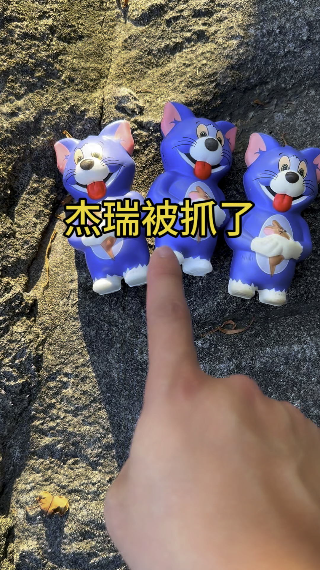 杰瑞游泳的时候被汤姆猫抓了