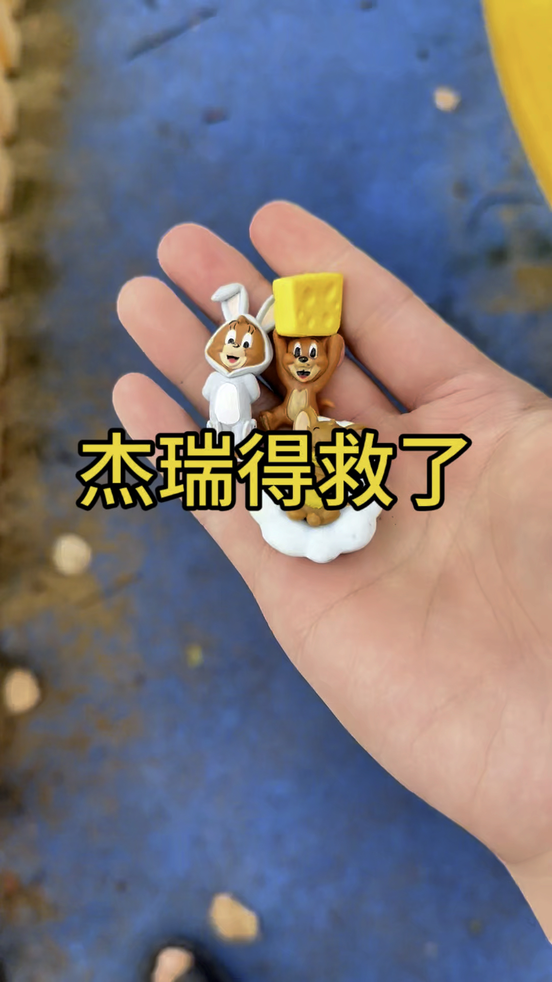 汤姆猫抓到的老鼠都被我救了