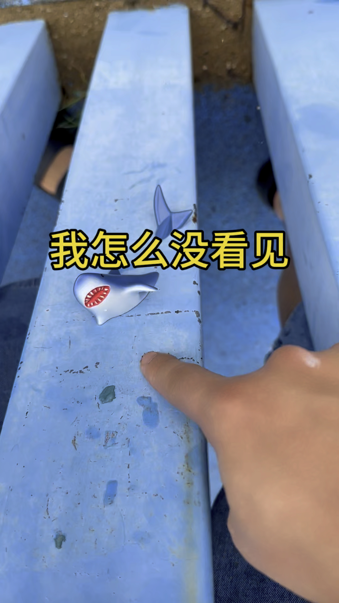 小鲨鱼什么时候跑出来的我怎么没看见