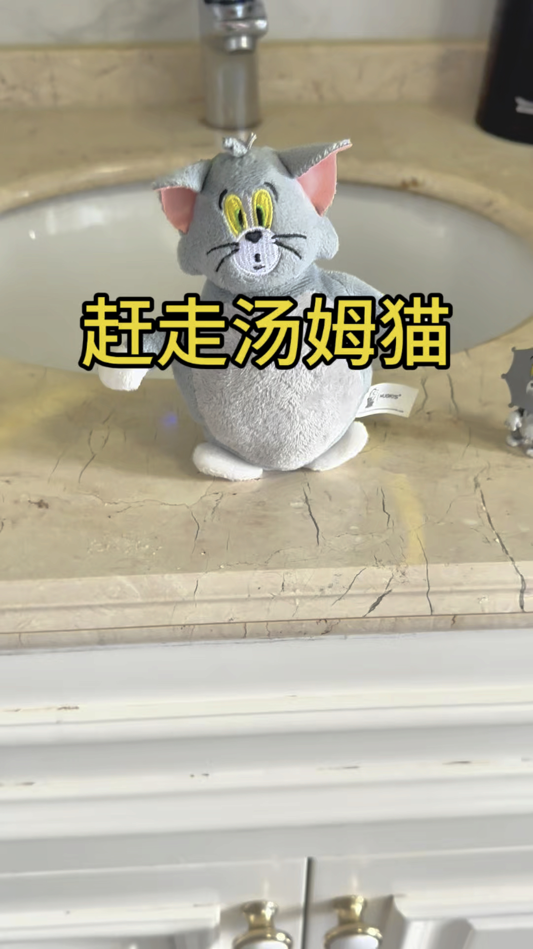 保护杰瑞！我把所有的汤姆猫都赶走了