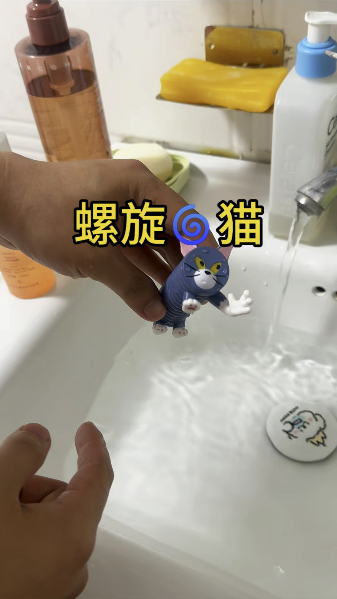 黑乎乎的汤姆猫被我洗成了一只螺旋猫