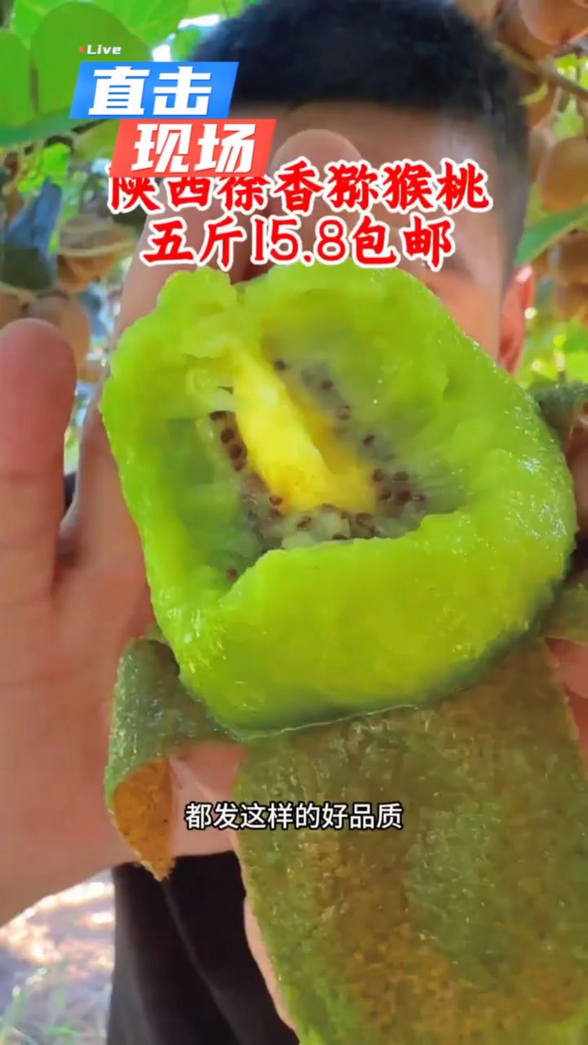 精品徐香猕猴桃价格触底!软糯香甜,维C之王,速来抢购尝鲜。
