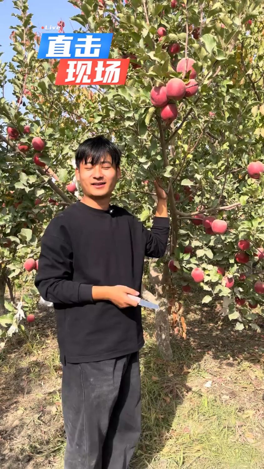 新疆阿克苏苹果,肉脆蜜甜,回味无穷尽。