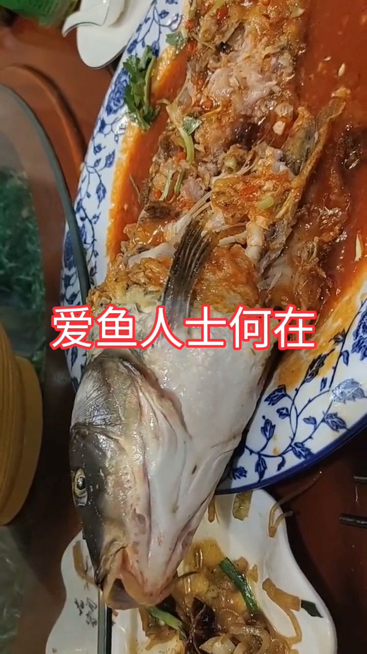 此时此刻,爱鱼人士何在!鱼:听说你到处跟人说我死了,这过分了