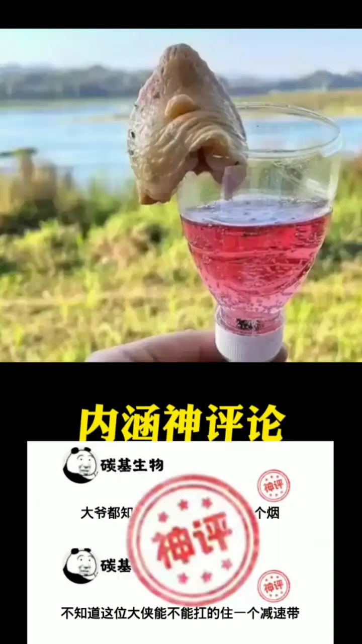 这才是正宗的“鸡尾酒”