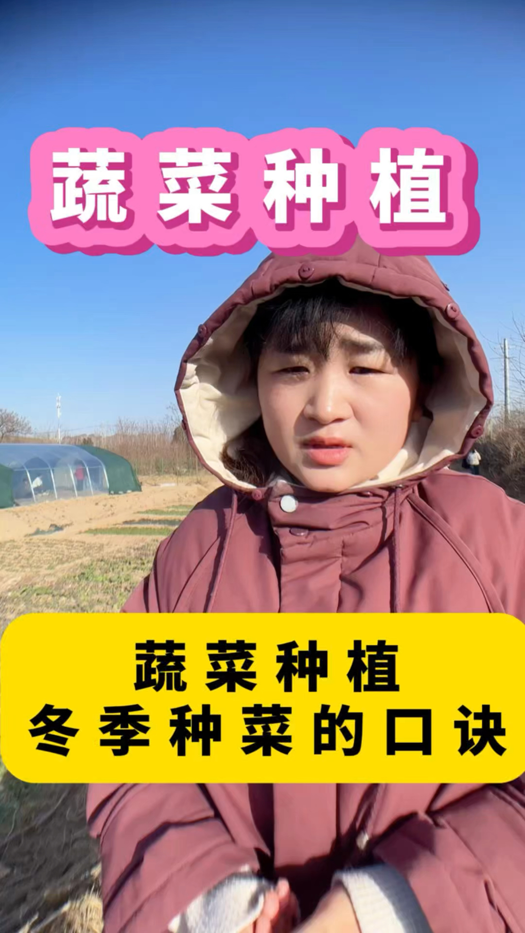 冬季种好菜的口诀