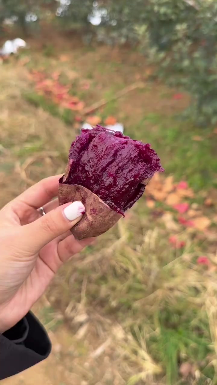 新鲜紫薯蒸熟需要多长时间