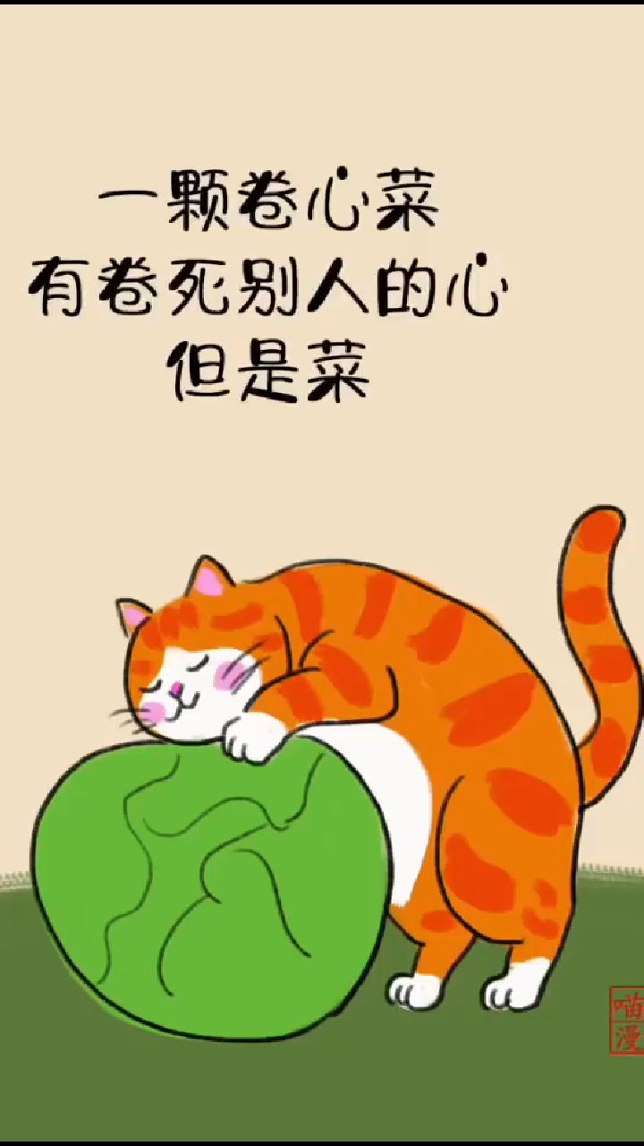 一颗卷心菜,有卷死别人的心,但是菜!