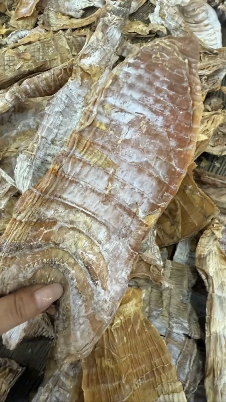 包毛笋干的一天,我们的毛笋干烧红烧肉是超级好吃的