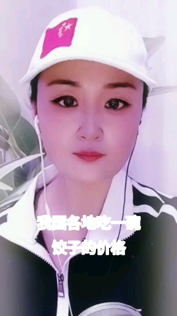 全国各地饺子的价格