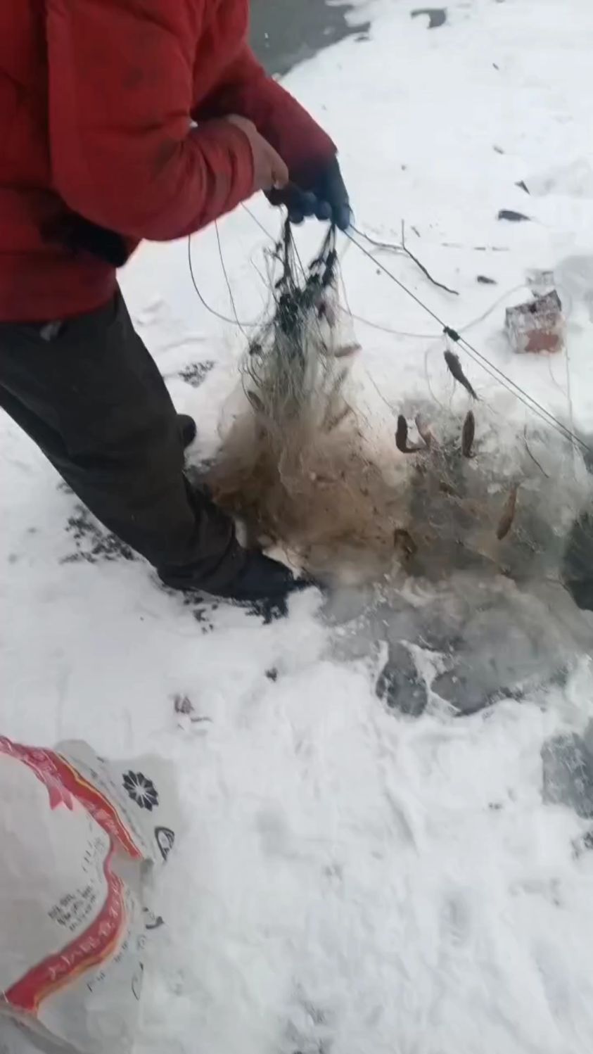 零下三十多度的东北,冬捕船丁鱼爆网啦,小江鱼太新鲜啦