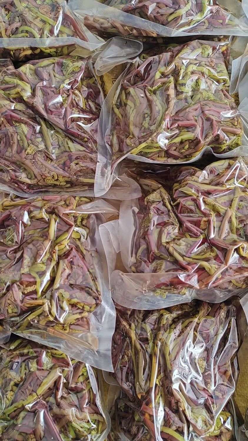 东北小兴安岭野生猴腿菜，天热凉拌炒肉嘎嘎好吃