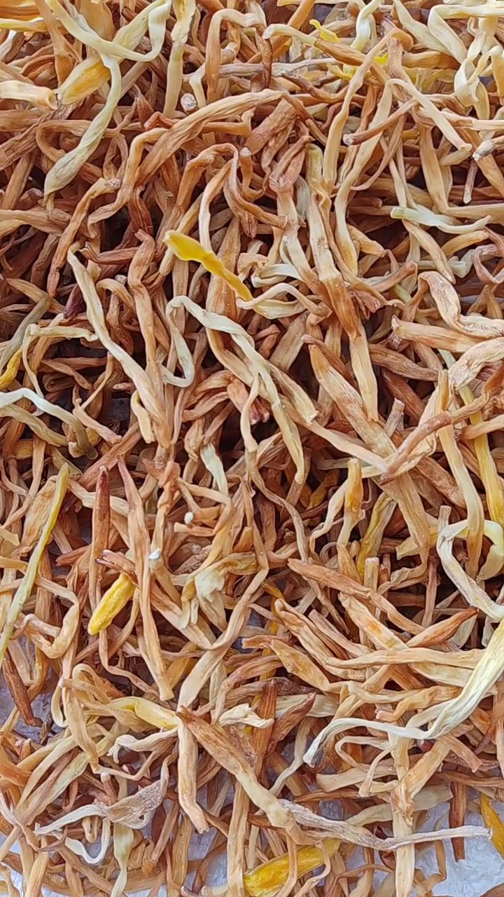东北的黄花菜晾晒好了,炖着吃炒着吃包馅嘎嘎好吃