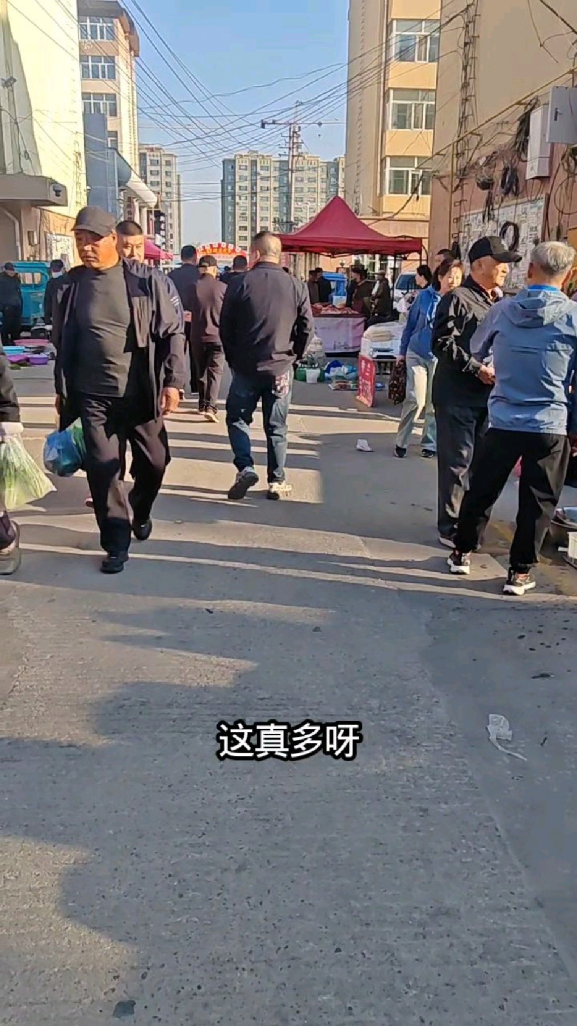 两点天亮东北小县城，早市各种山野菜，500斤的大肥猪肉真带劲