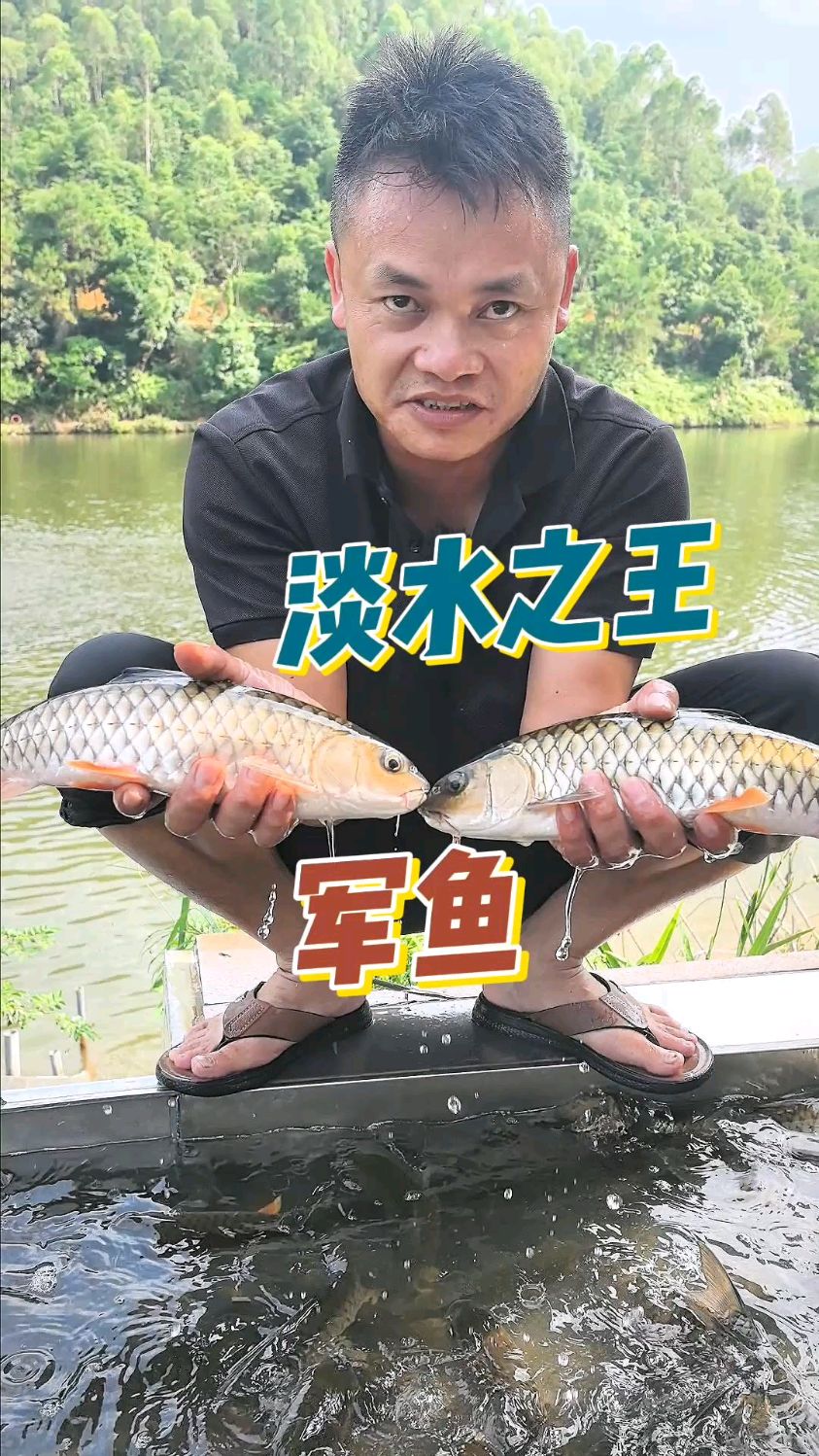 高品质鱼不断的放我负责放鱼就等你们狂拔