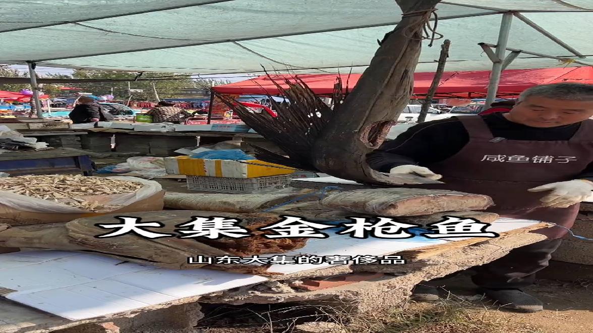 山东大集太豪横!整条金枪鱼当街现切
