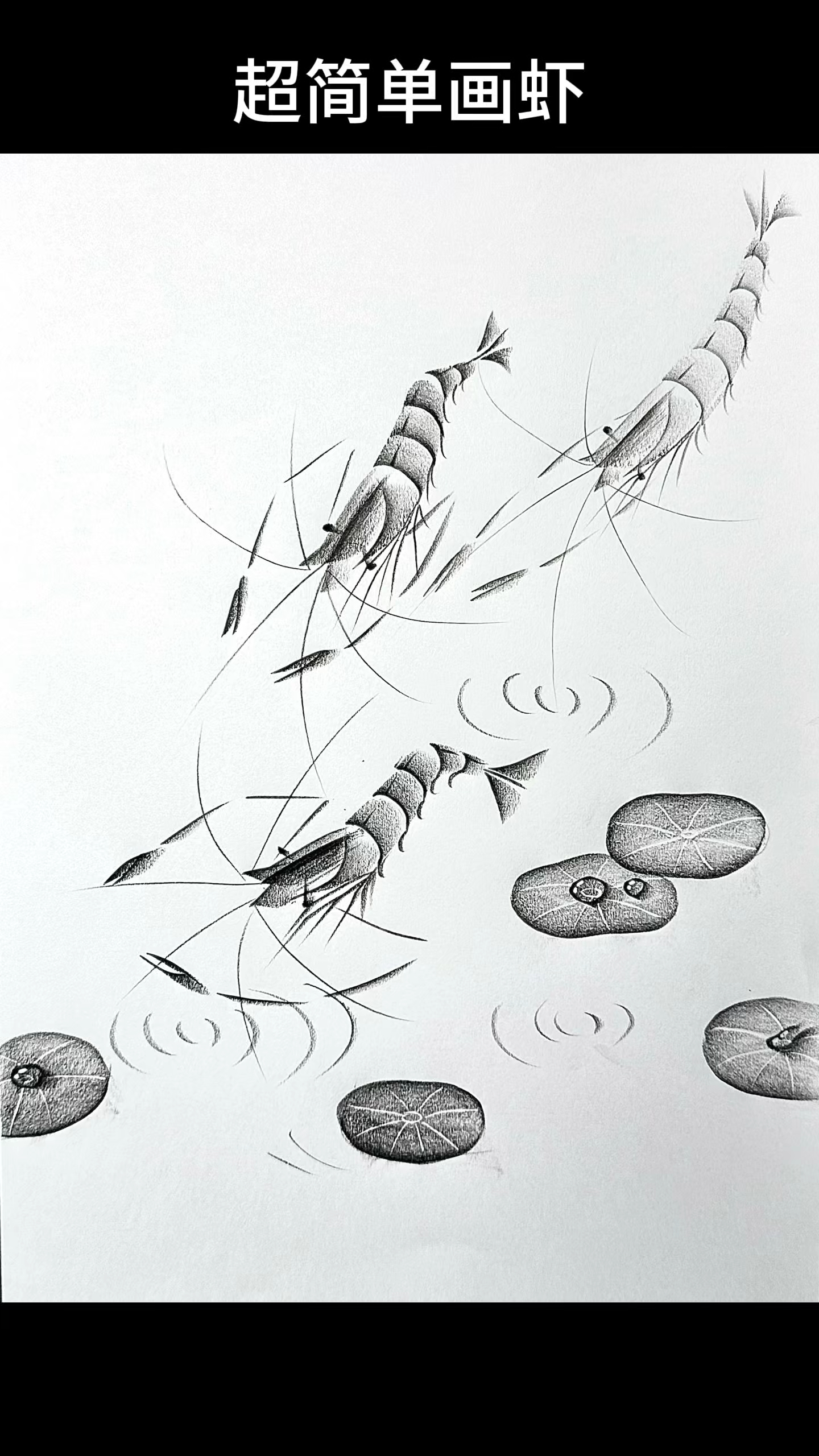 齐白石大虾你学会了没,点上关注一分钟教你画