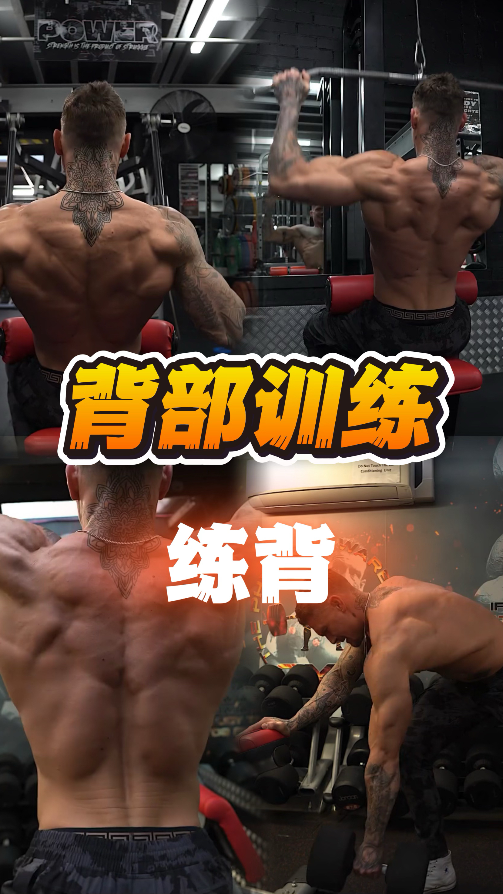 练背日的背部训练计划,打造宽厚的背部肌肉