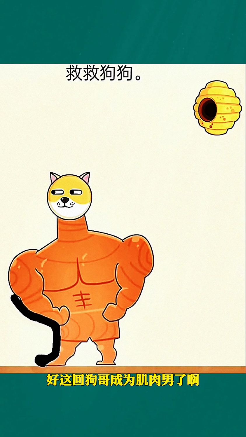 帮助小狗变成肌肉男